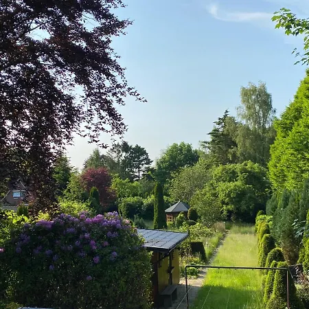 Zwischen Wald Und